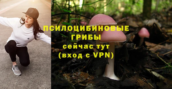 apvp Медногорск