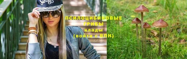 твердый Медвежьегорск