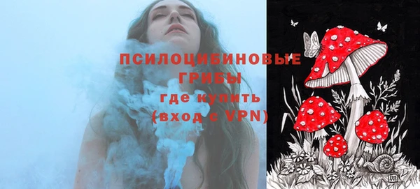 твердый Медвежьегорск