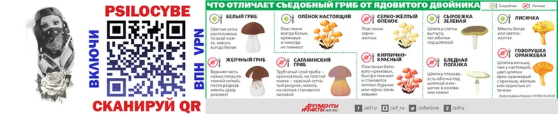 Псилоцибиновые грибы ЛСД  Купить где  Электрогорск 