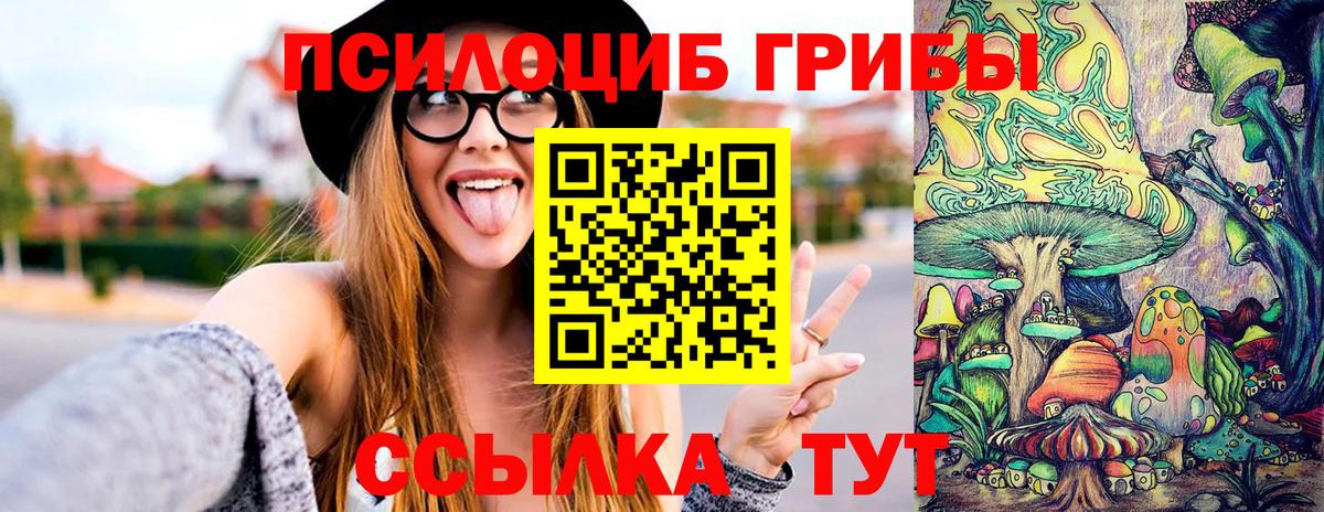 Галлюциногенные грибы Psilocybe Электрогорск