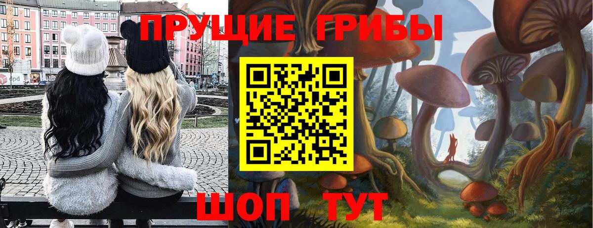 Галлюциногенные грибы GOLDEN TEACHER  Электрогорск 