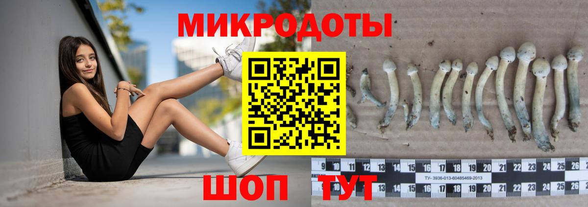 Галлюциногенные грибы ЛСД Электрогорск